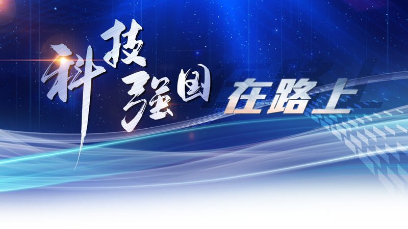 企业搜索安全配置：揭秘十大品牌背后的技术秘密